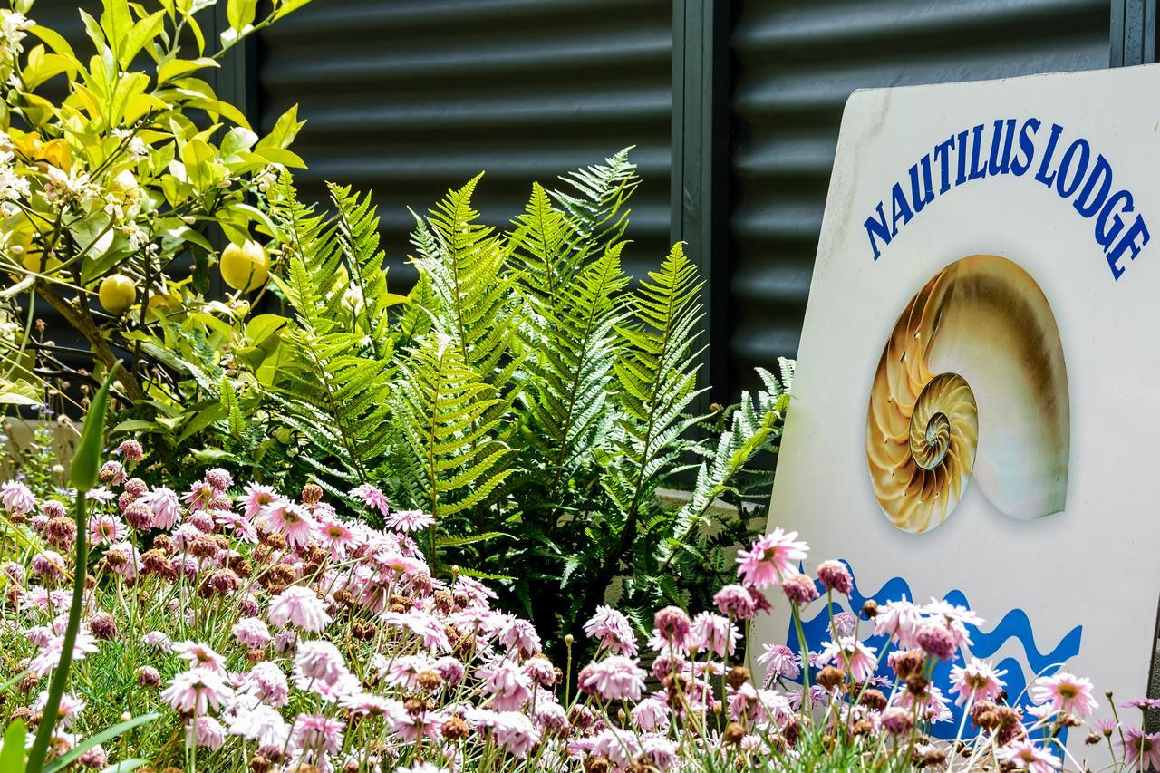 Nautilus Lodge Motel Motueka Exterior foto